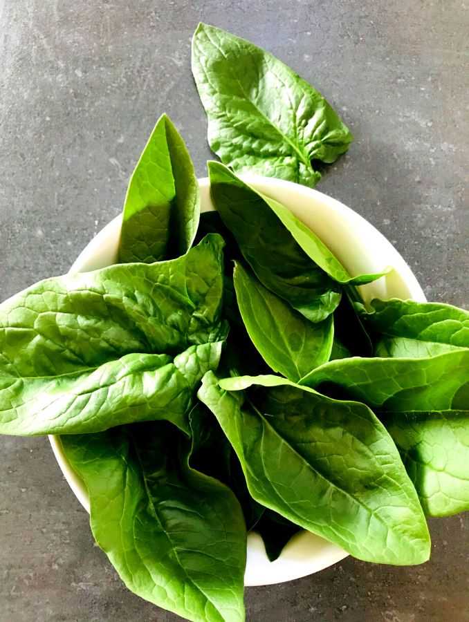 5 Minute Easy Spinach Pesto (3) (1)