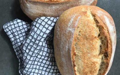 Beginners Quick and Easy Sourdough Bread