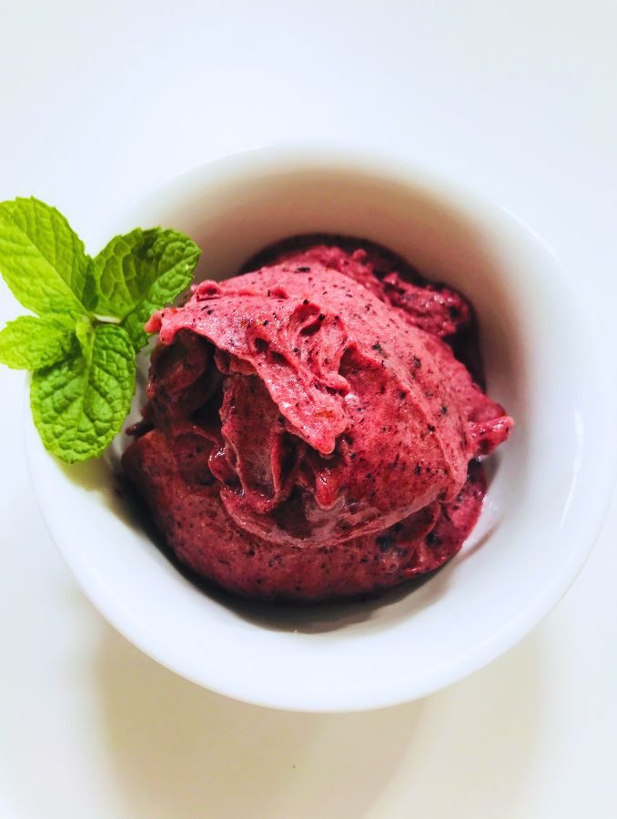 Blueberry Sorbet 9