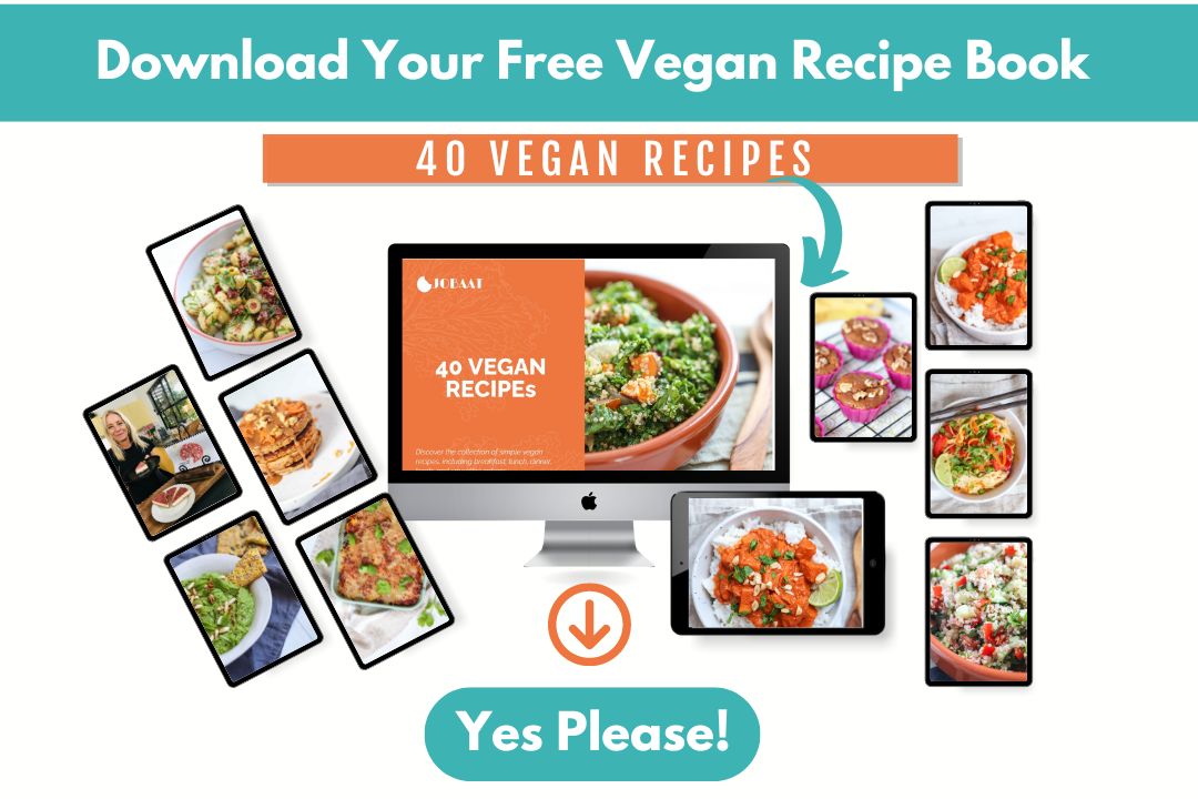 Free vegan recipe book (4)