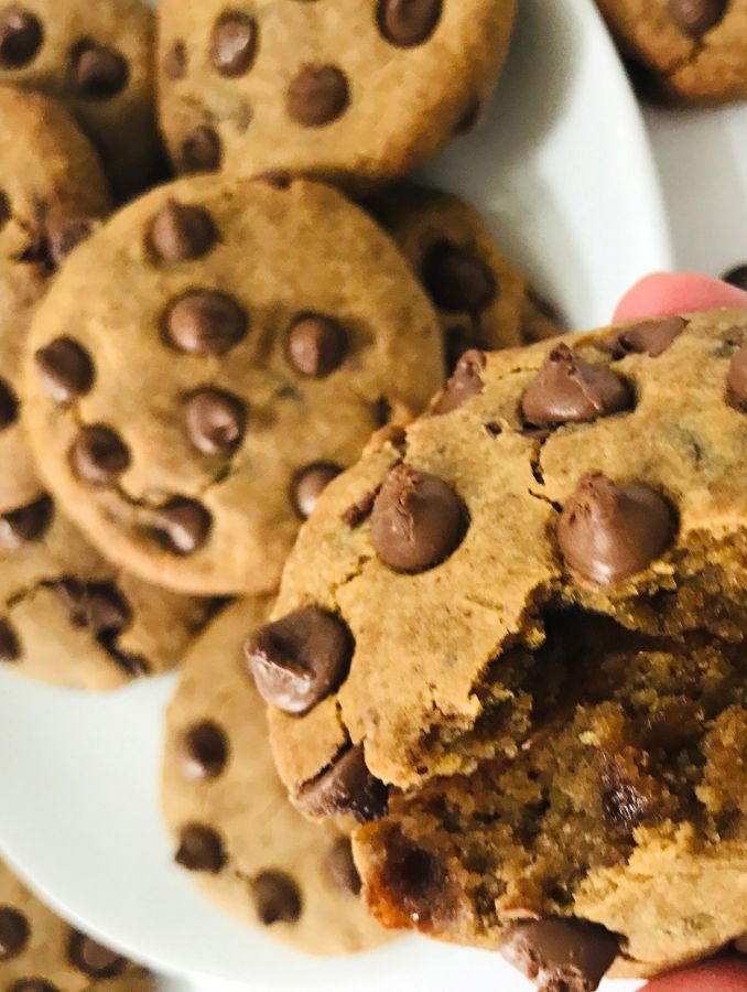 Fudgy Chocolate Chip Chickpea Cookies with Almond Meal 1