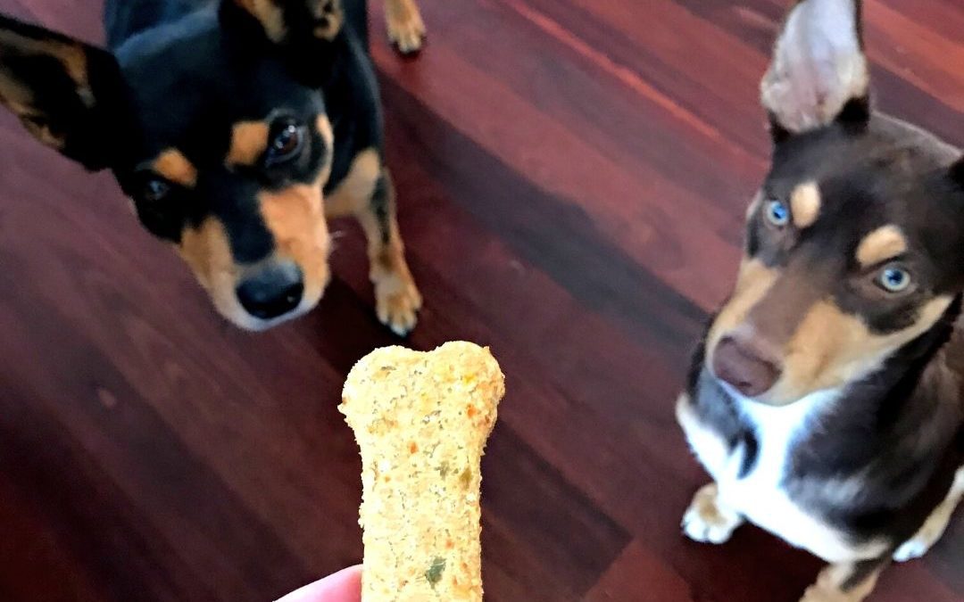 Homemade Veggie Dog Treats