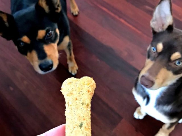 Homemade Veggie Dog Treats