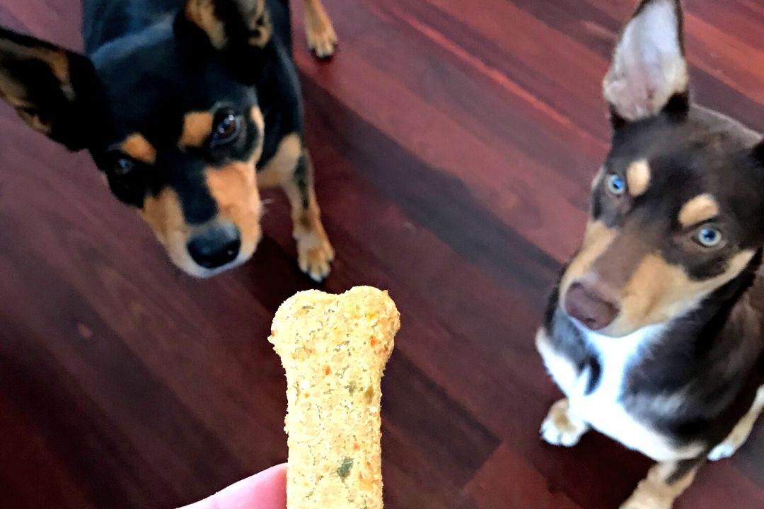 Homemade-Veggie-Dog-Treats