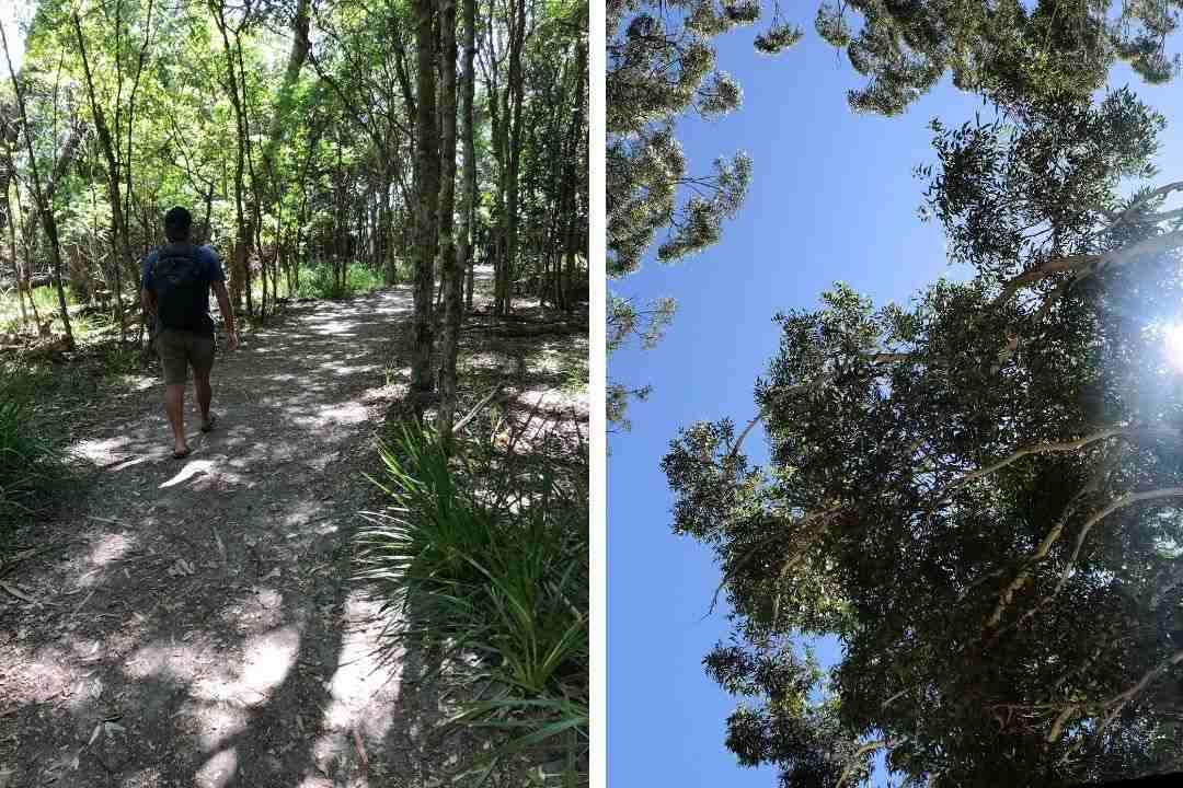 Murrays-beach-Jervis-Bay