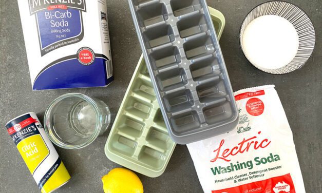 Natural Homemade DIY Dishwasher Tablets Recipe