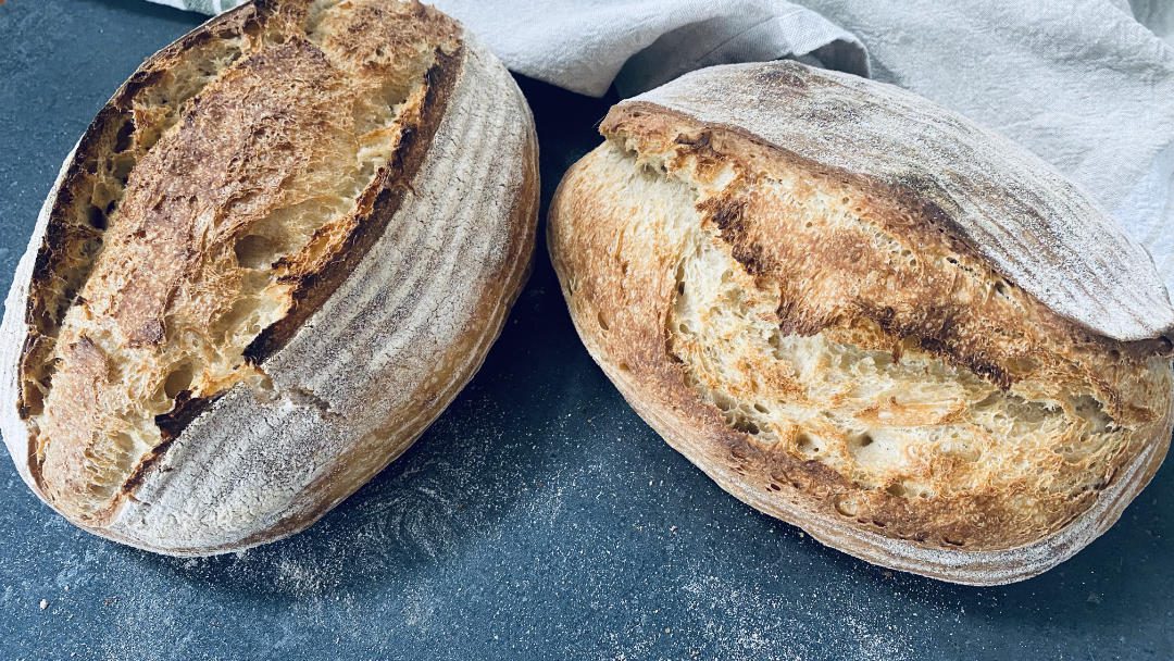 cooked sourdough bread on the bench