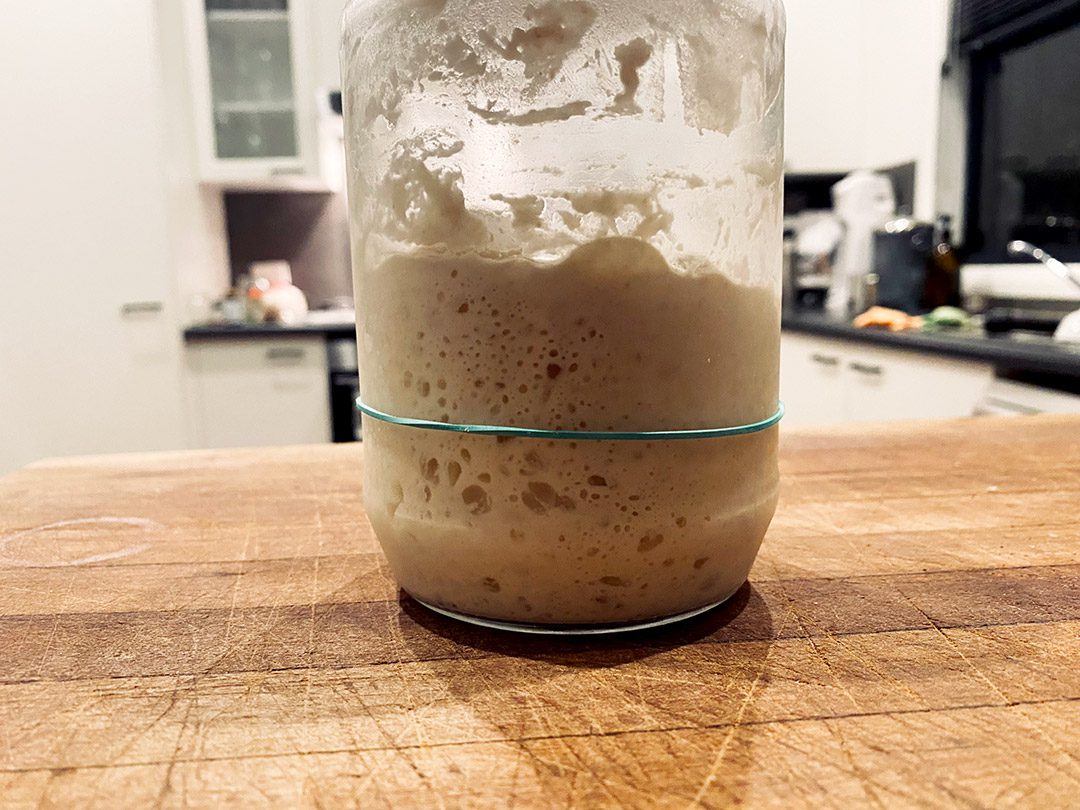 sourdough starter
